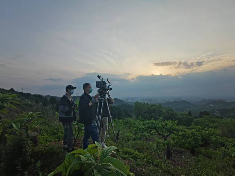 创意破圈！万秀区电商产品宣传视频用故事化叙事引爆流量