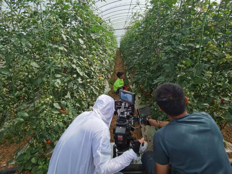 万秀区产品宣传视频拍摄公司进阶指南，助力品牌抢占传播高地